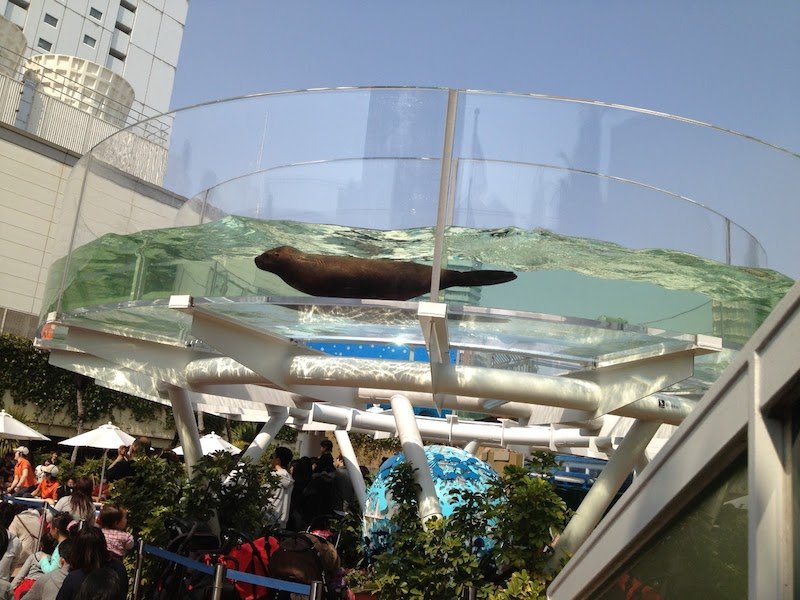 image - sunshine city aquarium from blogger