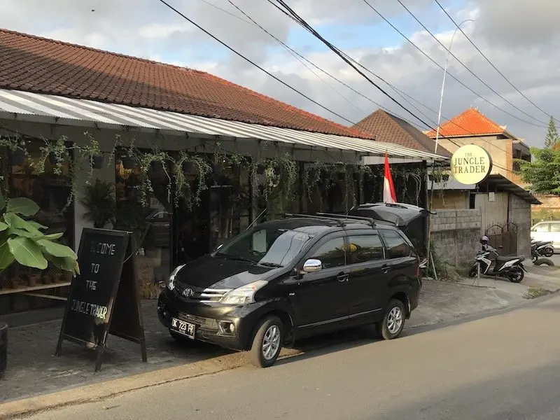 image - the jungle trader canggu