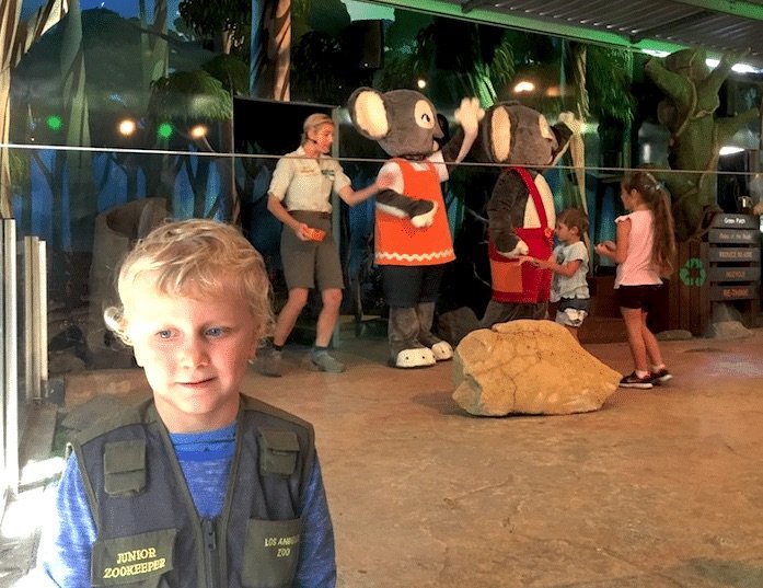 image - currumbin sanctuary blinky bill show pic