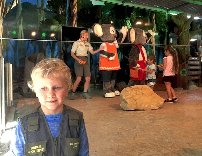 image - currumbin sanctuary blinky bill show pic