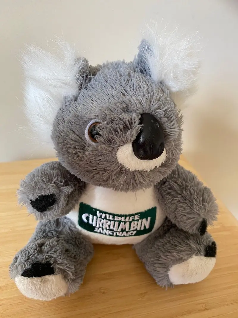 image - currumbin wildlife sanctuary gift shop koala pic