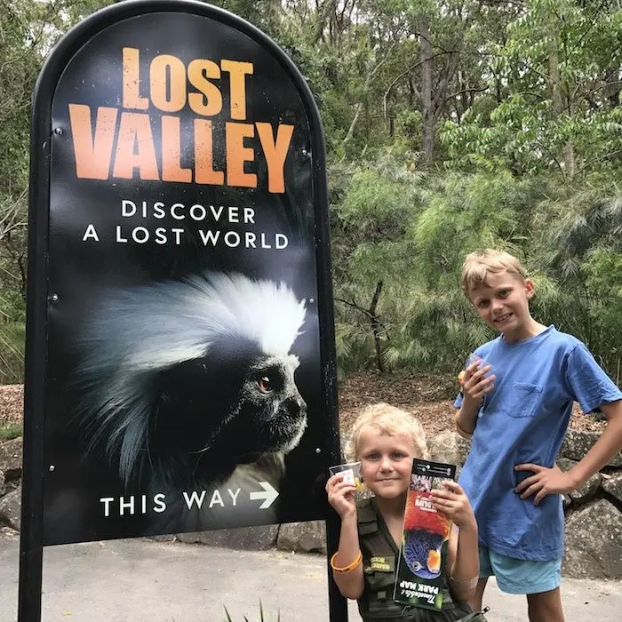 image - currumbin wildlife sanctuary lost valley