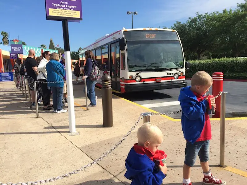 image - disney world buses shuttles