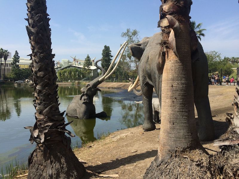 image - la brea tar pits los angeles 800