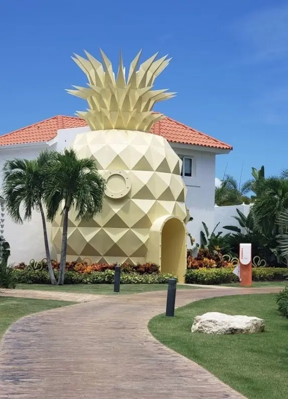image - the pineapple villa 1