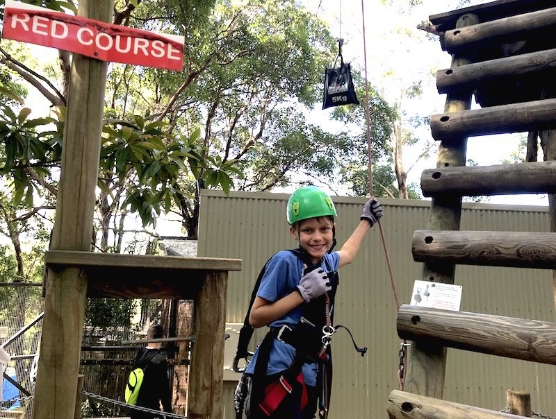 image - currumbin sanctuary tree top adventure ned start