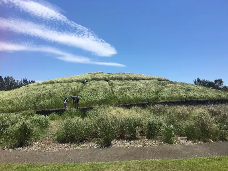 blaxland riverside park spiral