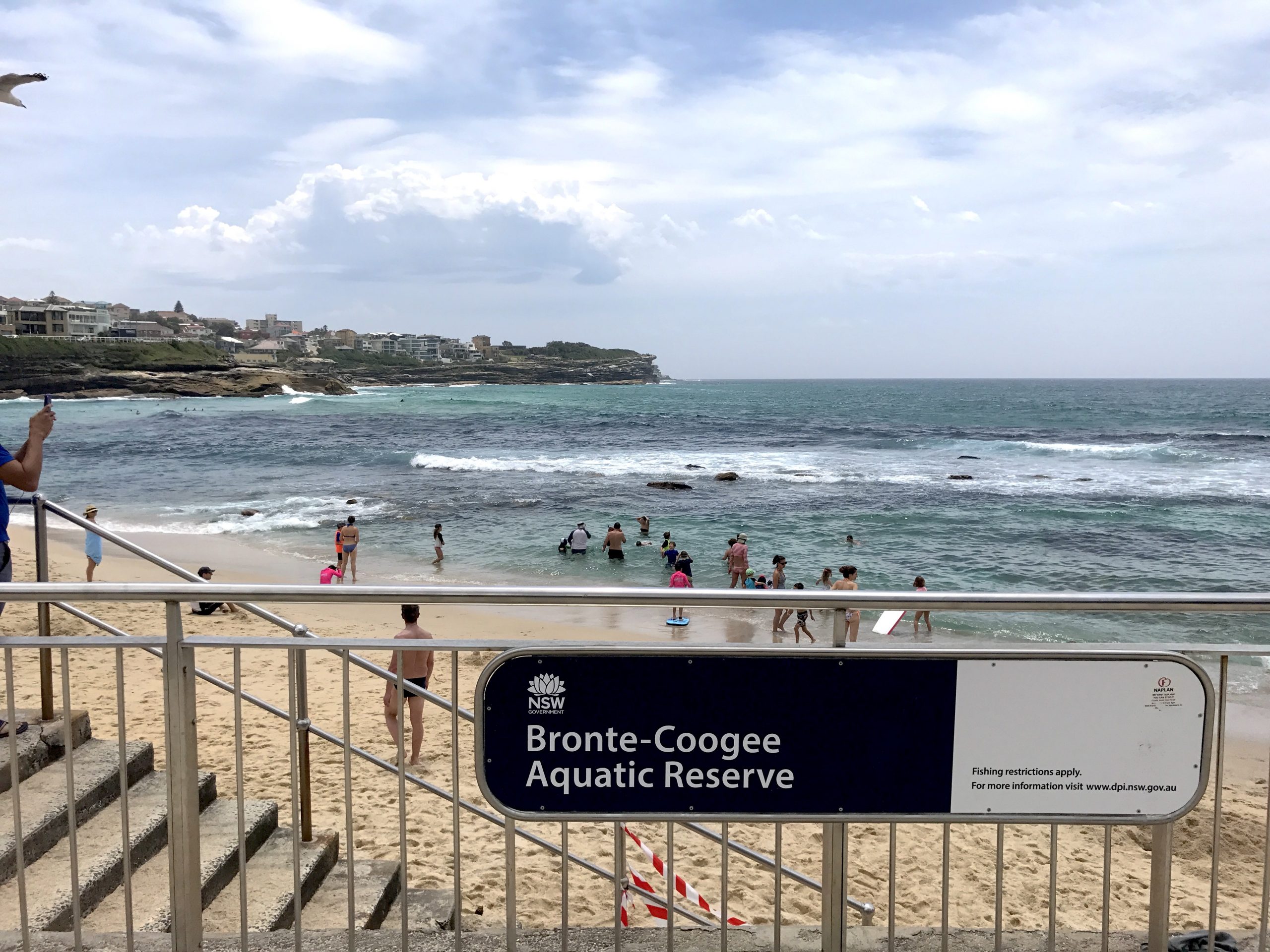 image - bronte coogee aquatic reserve