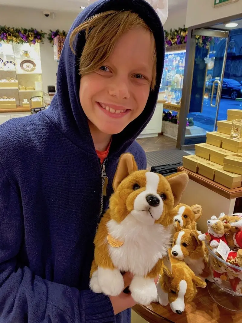 image - buckingham palace dog toy corgi with ned