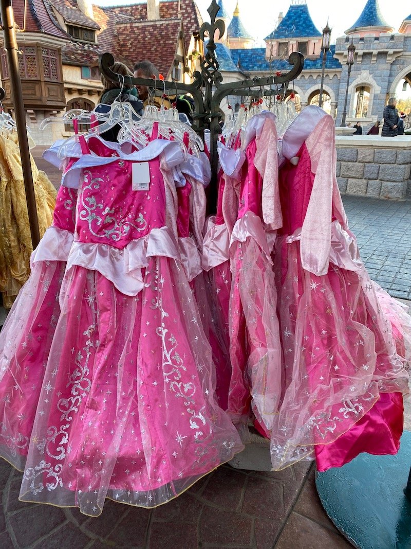 image - disneyland paris aurora dress up costume