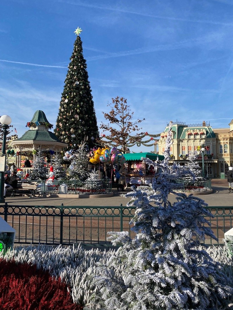 image - disneyland paris christmas tree