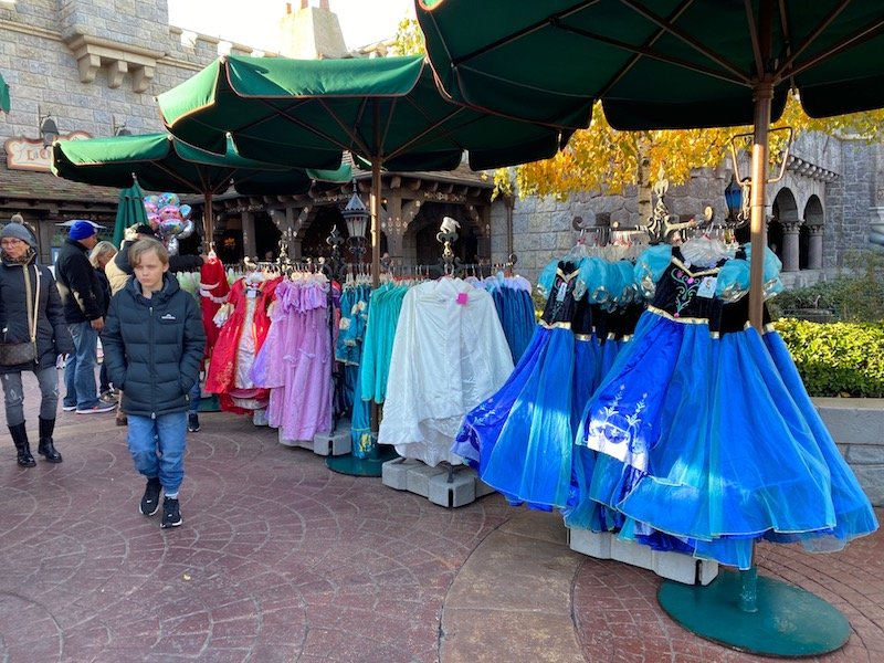 image - disneyland paris princess dress up costume anna