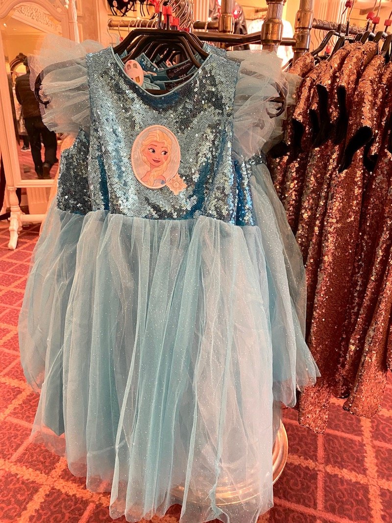 image - elsa dress up costume dlp form caseys corner