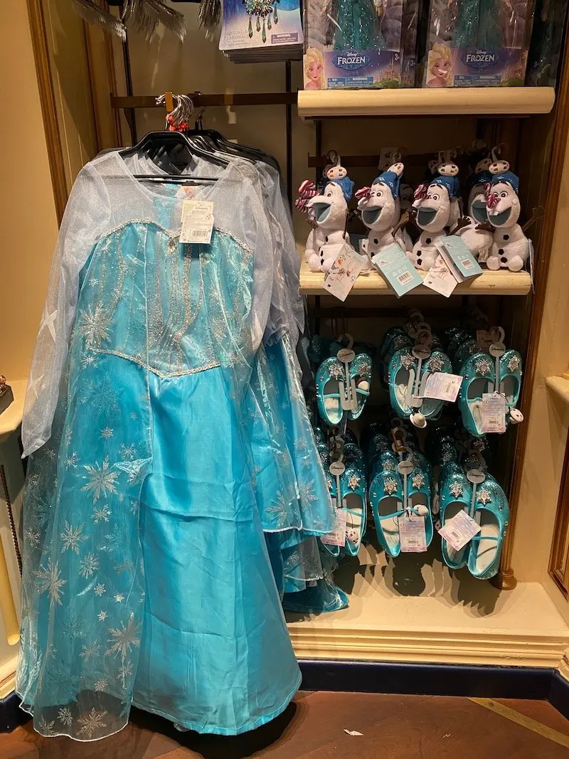 image - elsa frozen dress up costume dlp from caseys corner