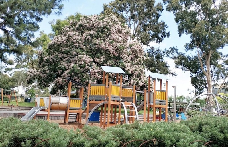 image - flagstaff gardens playground by jessie koh 