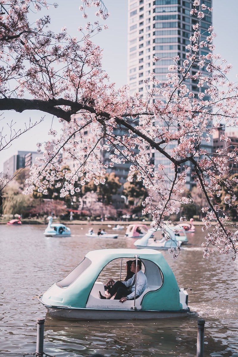 image - ueno park by bantersnaps-iHU3ic36yeY-unsplash