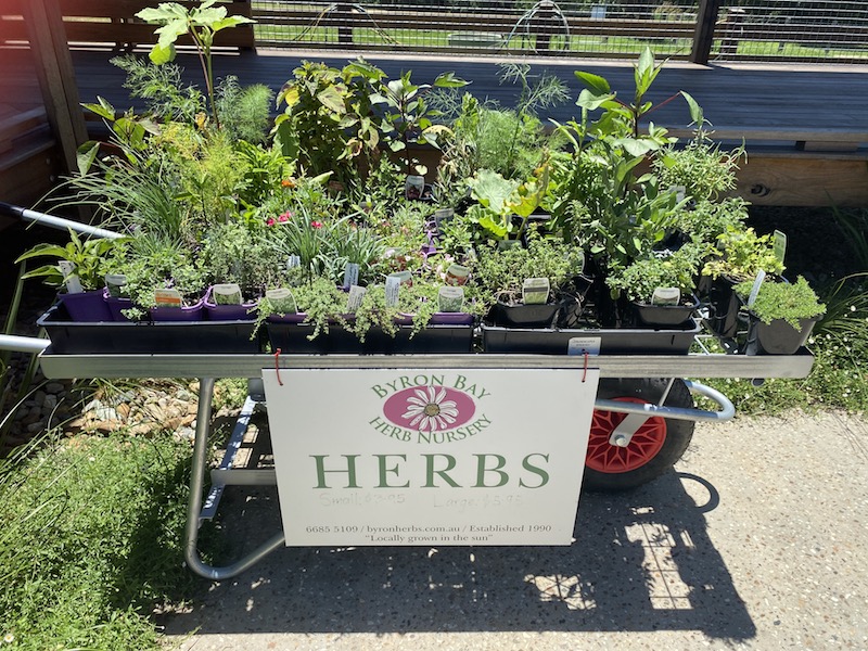 image - summerland farm byron bay herbs stall