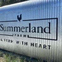 image - summerland house farm alstonville a farm with heart