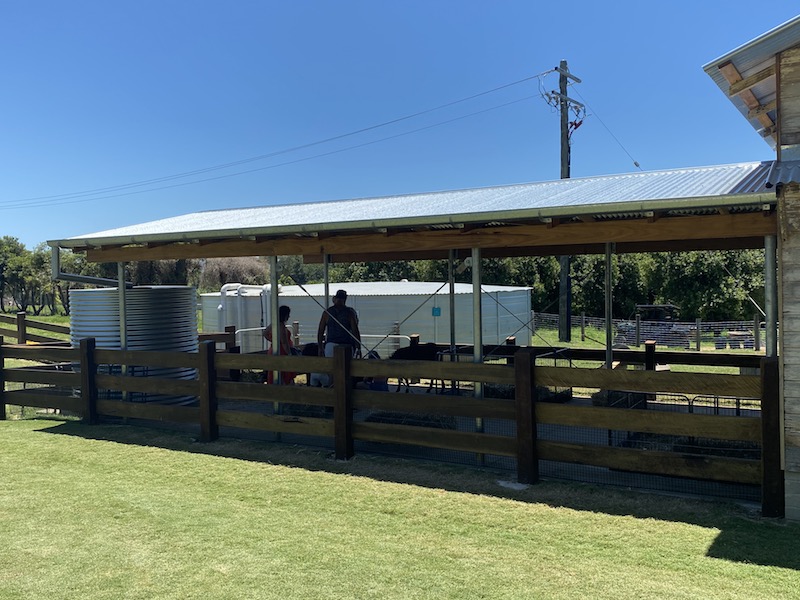 image - summerland house farm alstonville animal encounters