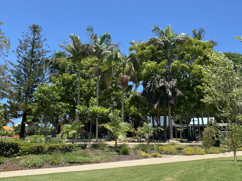image - summerland house farm alstonville gardens