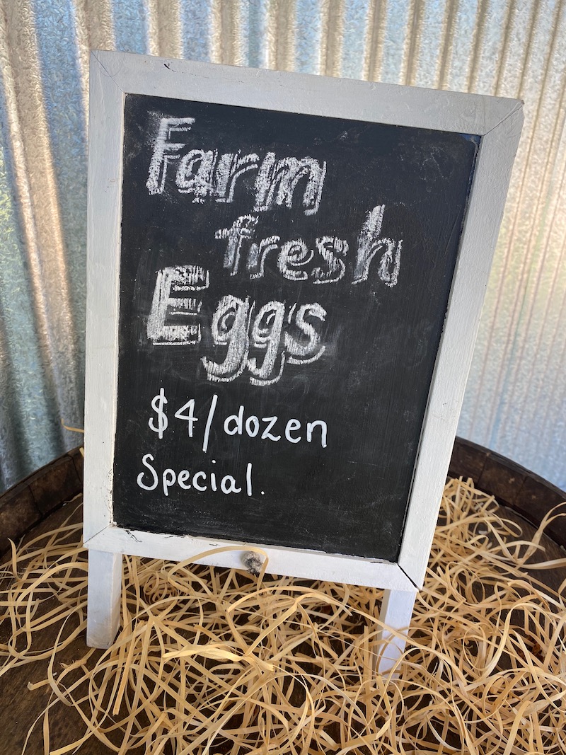 image - summerland house farm eggs for sale