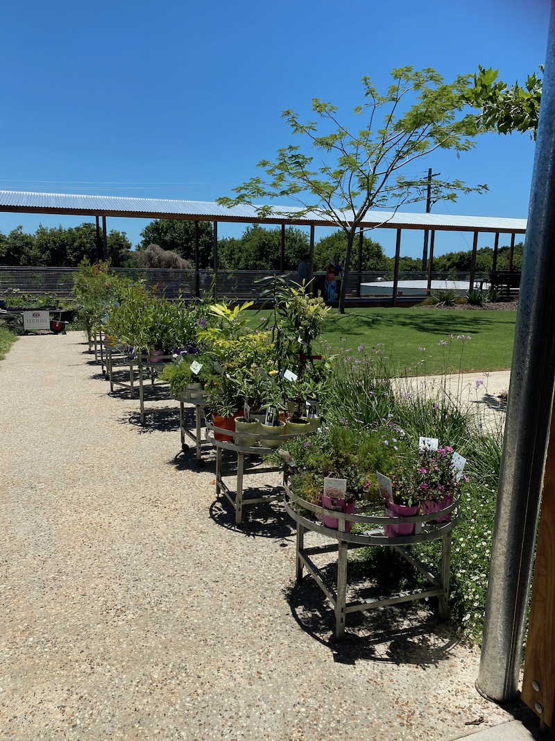 image - summerland house farm shop plants