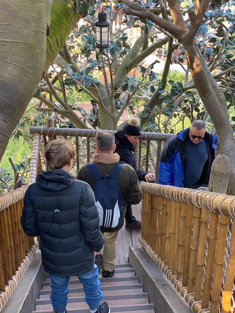 image - swiss family robinson treehouse dlp