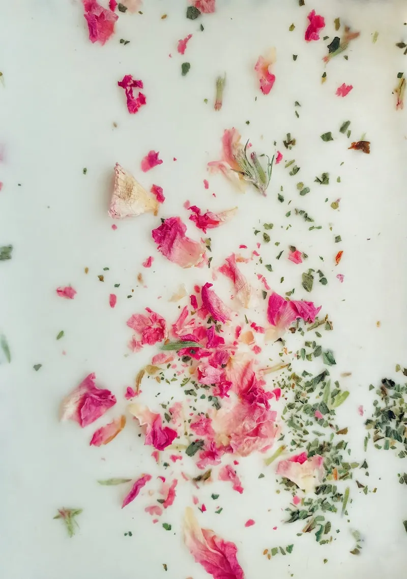 image - damask rose on yoghurt by hasan-almasi