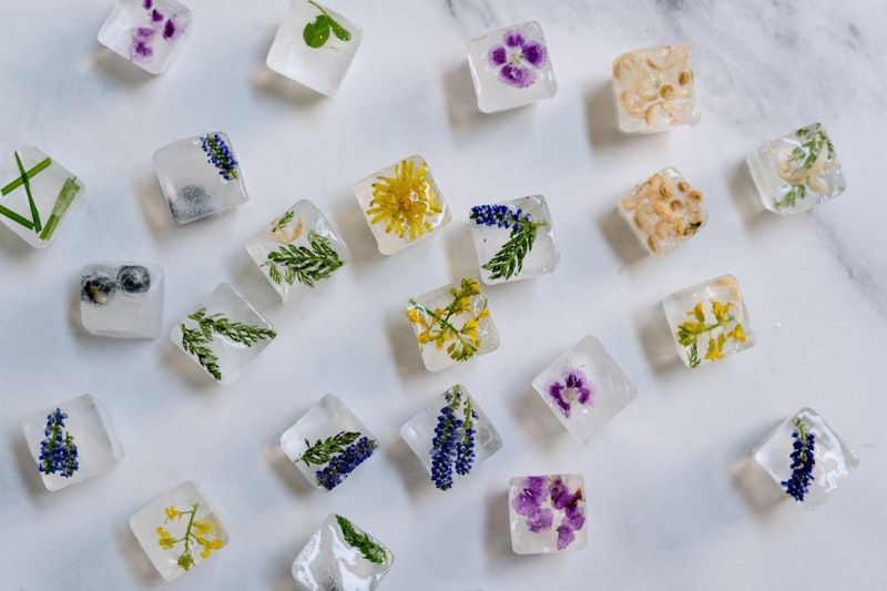 image - dried edible flower ice cubes by pexels-cottonbro