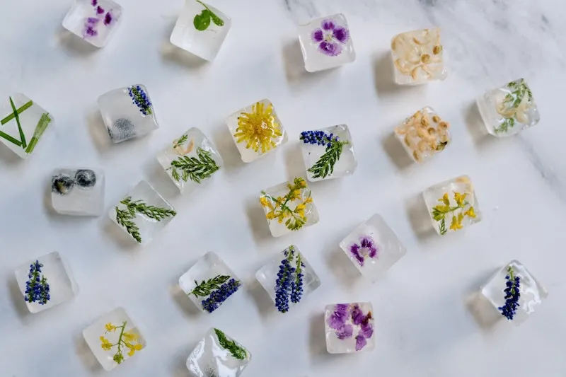 image - dried edible flower ice cubes by pexels-cottonbro