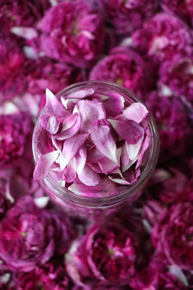 WHERE TO BUY EDIBLE ROSE PETALS FOR CAKES & DRINKS