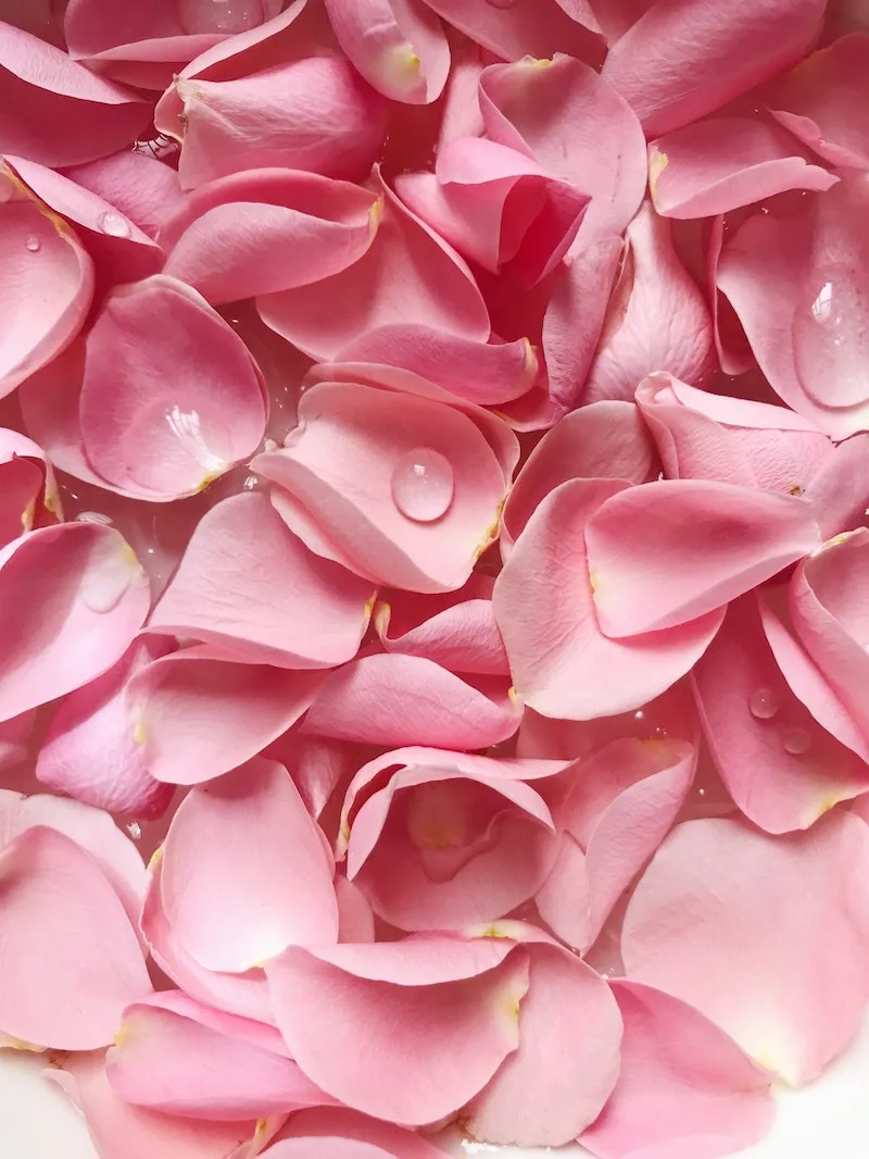 WHERE TO BUY EDIBLE ROSE PETALS FOR CAKES & DRINKS