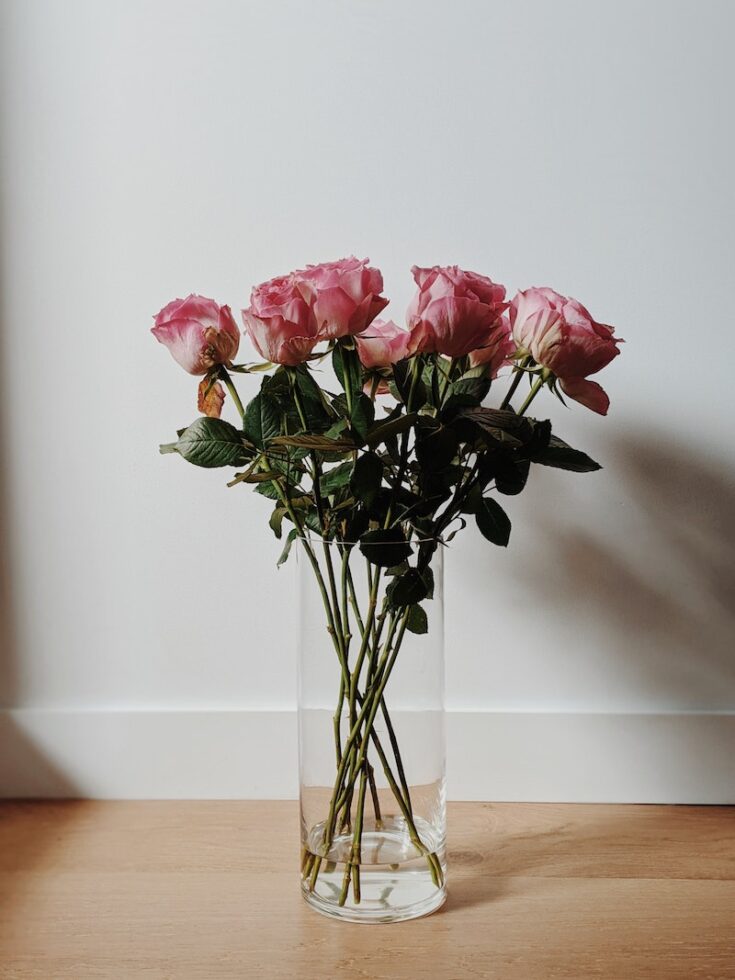 WHERE TO BUY EDIBLE ROSE PETALS FOR CAKES & DRINKS