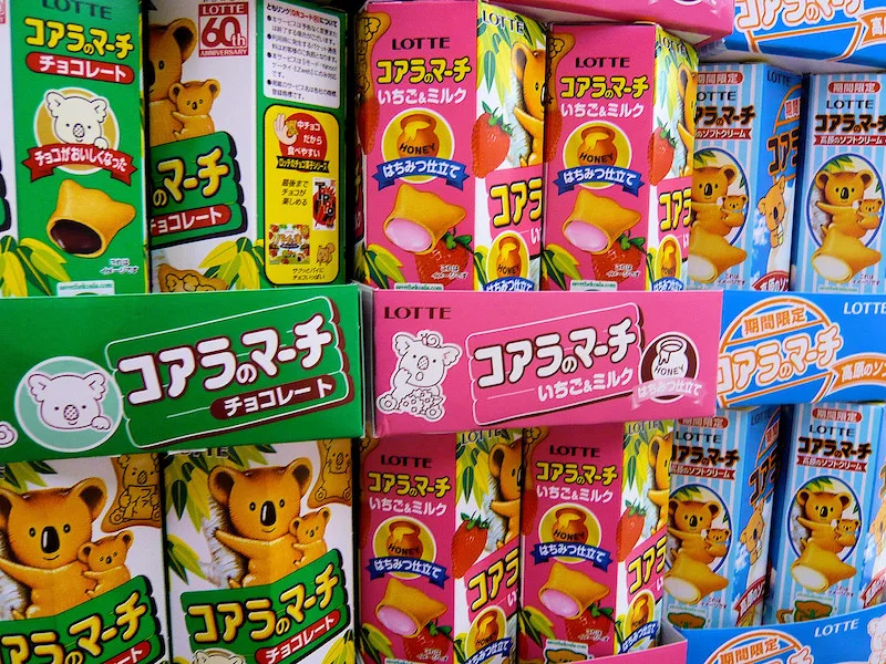 image - japanese chocolate koala biscuits 800