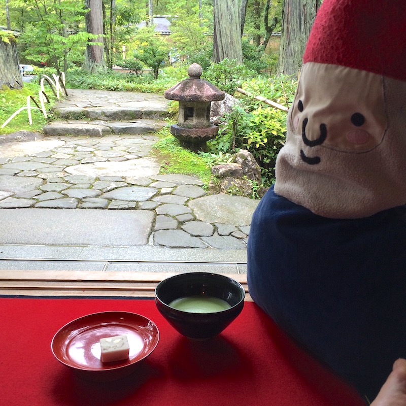 image - japanese green tea ceremony with roam the gnome