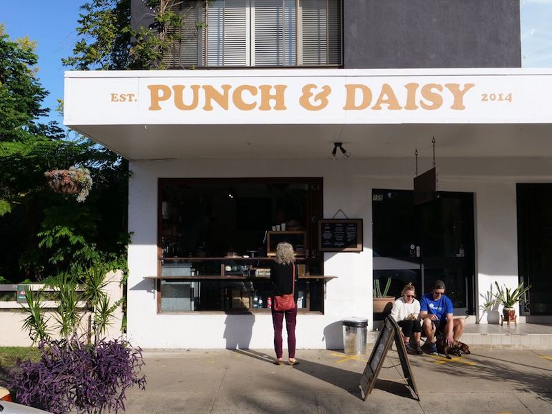 image- punch and daisy mullumbimby