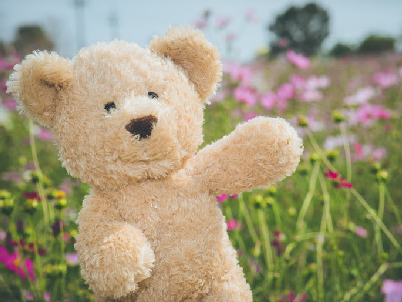 image - teddy bears picnic 
