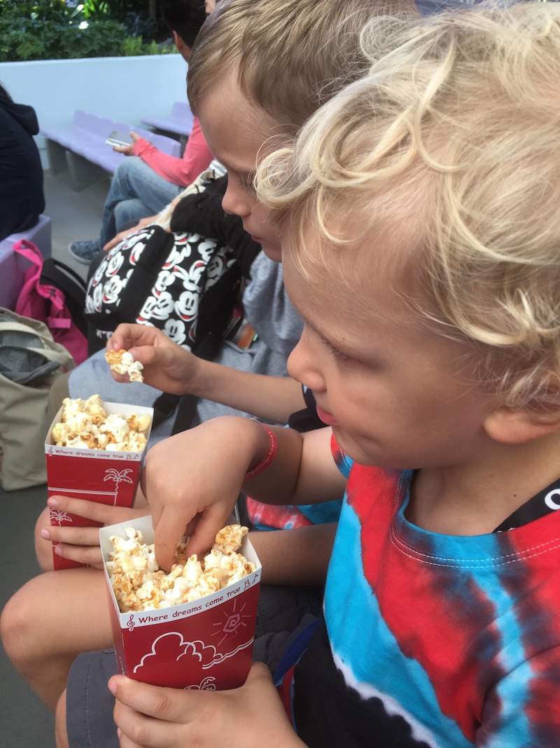 image - tokyo disneyland popcorn flavors 800